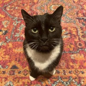 Meet your Posher, Kate